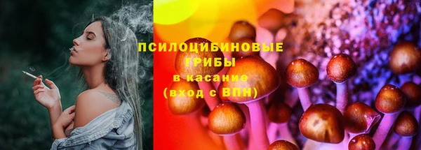 прущие грибы Алексеевка
