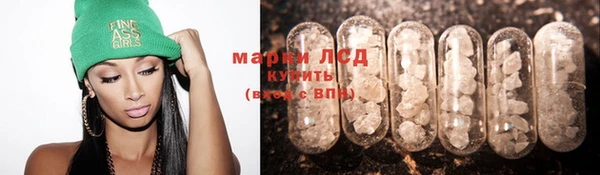 прущие грибы Алексеевка