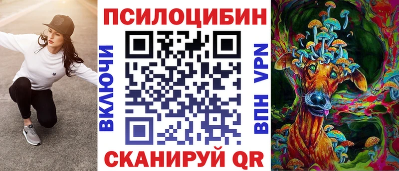 Псилоцибиновые грибы Psilocybine cubensis  Змеиногорск 